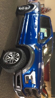 raptor-blue.jpg