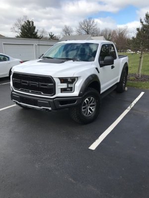Raptor.JPG