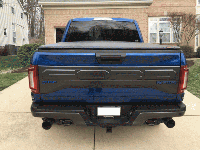 back_0340.gif