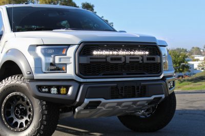 BDRaptorGrille.jpg
