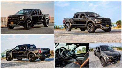 JK Raptor Collage.JPG