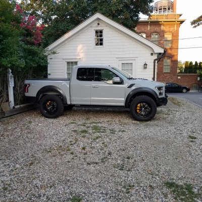 Raptor 8-24-17.jpg