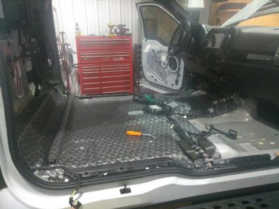 Raptor stereo 1.jpg