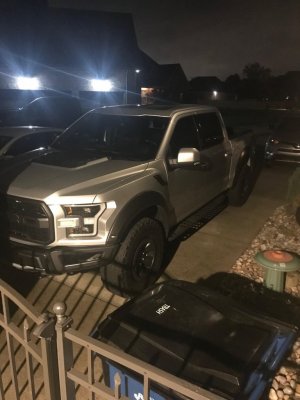 Raptor 3.jpg