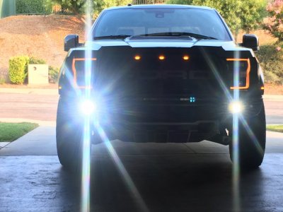 Rigid D Series Spots.JPG