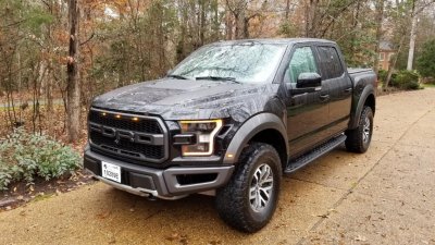 Raptor 1.jpg