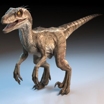 Raptor.jpg