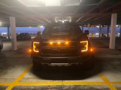 Raptor.jpg