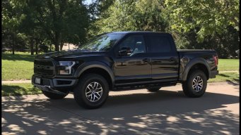 raptor446