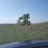 Miles66